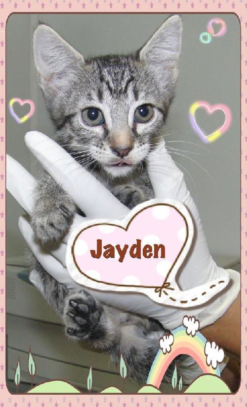 Jayden