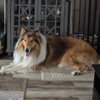 Kona - Photo 2
