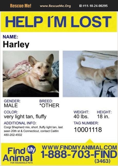 HELP FIND HARLEY