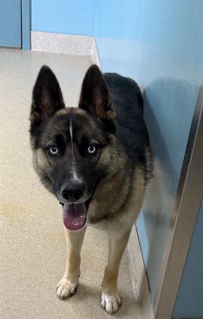 KAISER