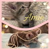 Amie