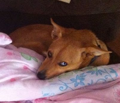 Missy