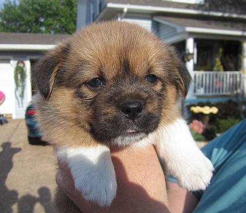 Ernie