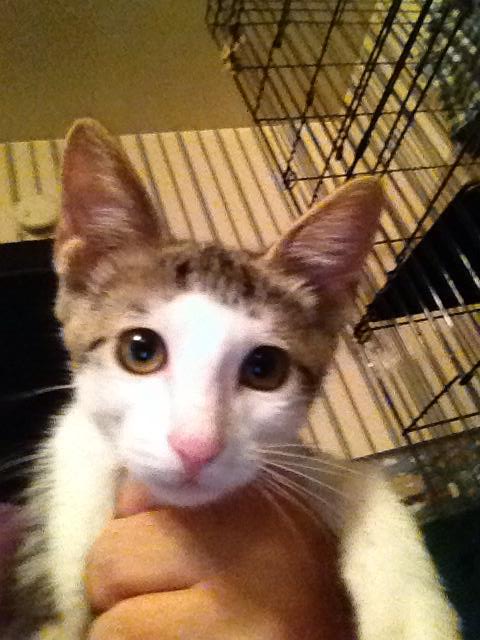 Aiden