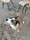 Cam Loki - Photo 3