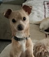 Little Man - Photo 1
