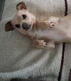 Little Man - Photo 2