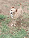 Little Man - Photo 3