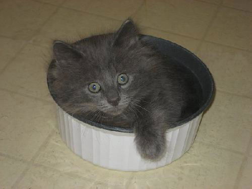 Smudge