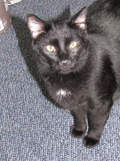 Sebastian