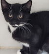 Kit