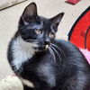 Kit