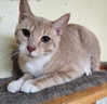 Teddy - Photo 1