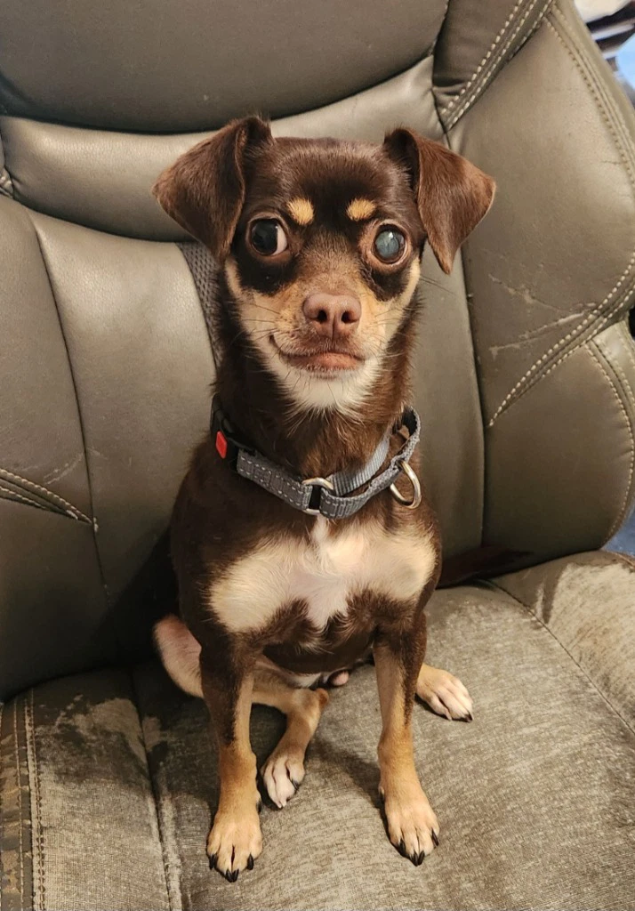 Mia