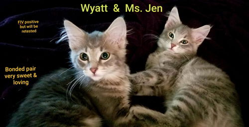 Wyatt & Ms. Jen