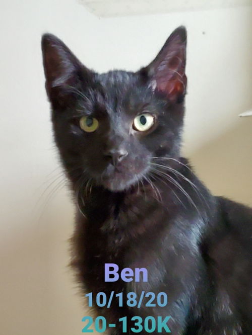 Ben