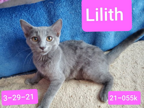 Lilith