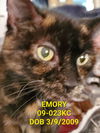 Emory