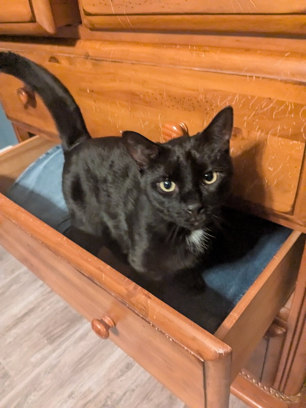 Franklin
