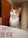 May