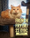 French Fry