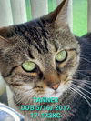 Tanner