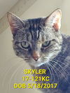 Skyler