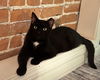 Onyx