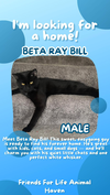Beta Ray Bill