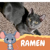 Ramen