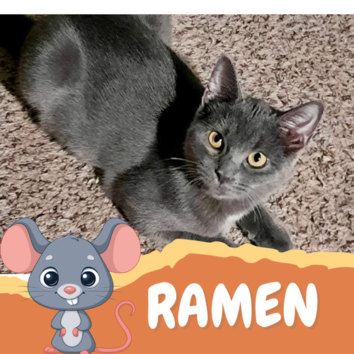 Ramen
