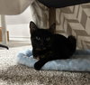 Tina