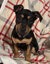 Roxy