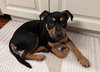 Roxy