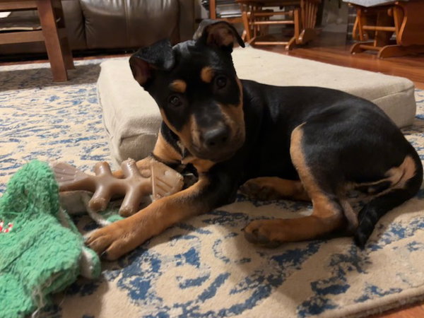 Roxy
