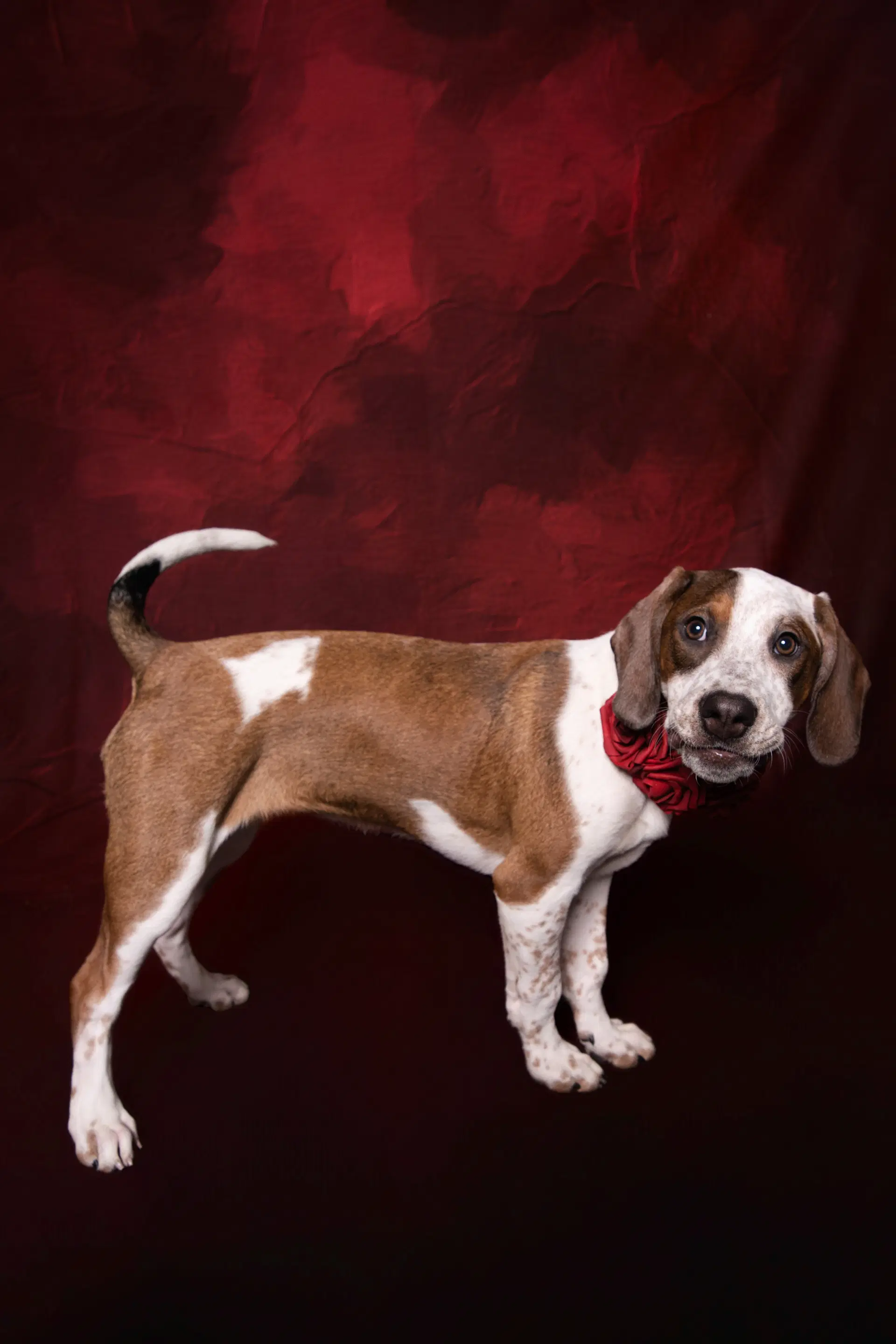Cambria image 3