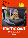 Traffic Cone