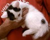 Esme