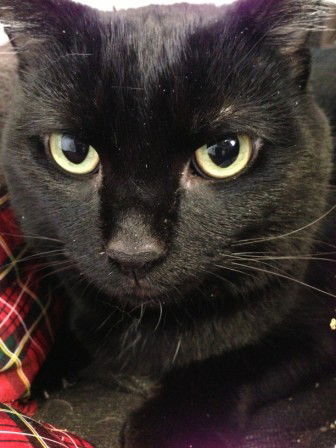 Ernie