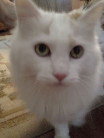 Miss Emma