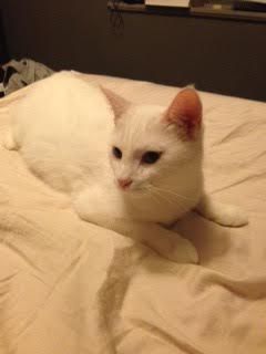 Sookie