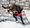Jacquelyn - Photo 3