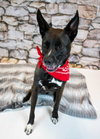 Jacquelyn - Photo 4