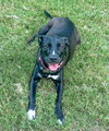 Jacquelyn - Photo 5