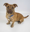 Asher - Photo 2