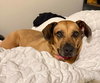 Josie - Photo 5