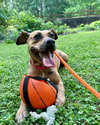 Josie - Photo 7