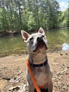 Victor - Photo 5