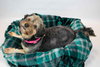Suri - Photo 4