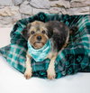 Suri - Photo 6